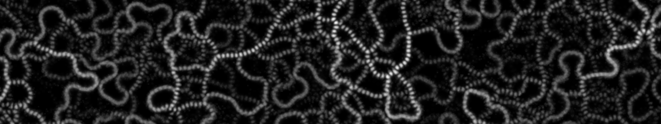 Complex Systems