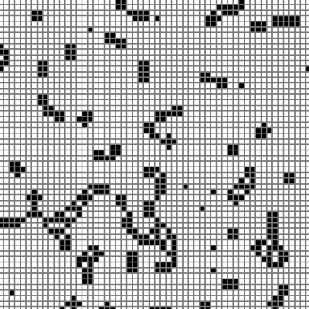 2D Cellular Automaton